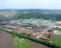 Das Betriebsgelände der Hasslacher Holzindustrie Preding GmbH